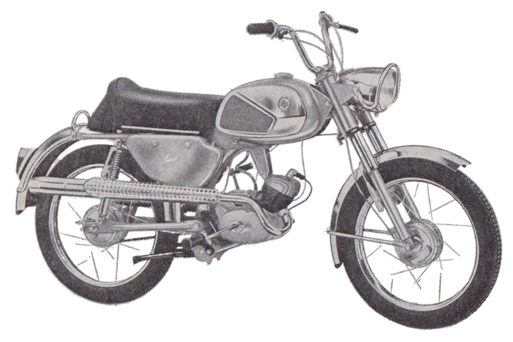 DBS SPORT 3025